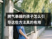脾气暴躁的孩子怎么引导这些方法真的有用