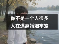 你不是一个人很多人在逃离婚姻牢笼